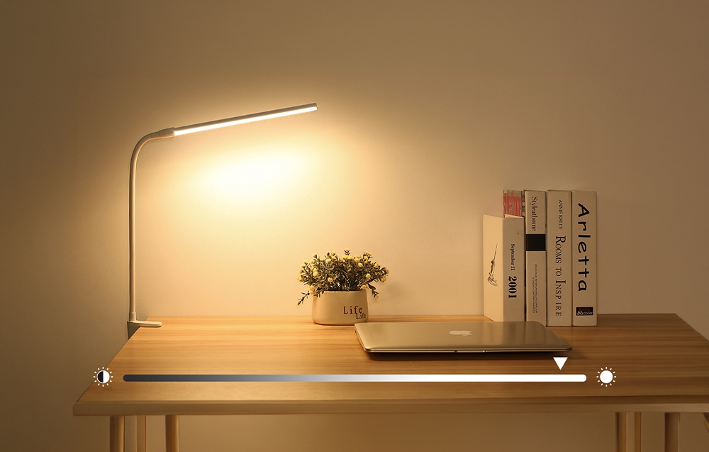 A lamp illuminating a desk with a laptop, books, and a plant in a white pot.