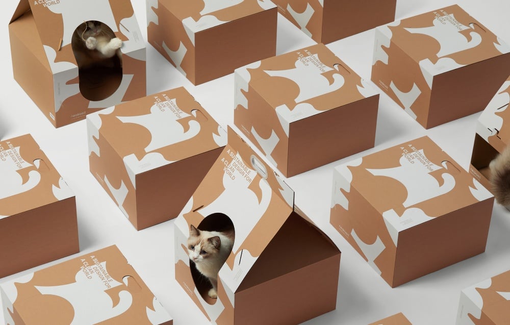 A couple of cardboard boxes with round holes in which small cats sit