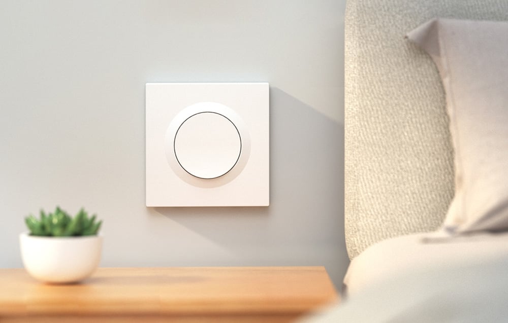 White switch mounted on the wall next to the bed above the bedside table with a green plant.