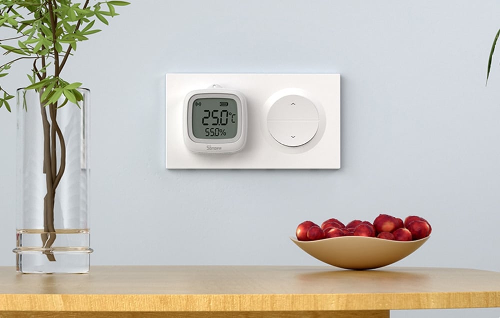 Double frame for the switch mounted on the wall. Next to it, a vase with a green plant and a bowl with fruit stand on a table.