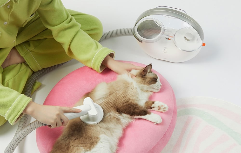 Woman in green tracksuit uses vacuum cleaner to groom cat lying on pink pillow