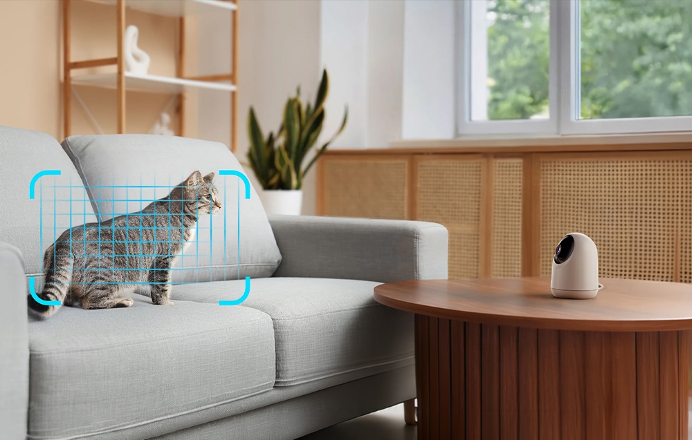 A gray cat sitting on the living room couch, surrounded by a blue grid indicating the camera’s detection of objects.