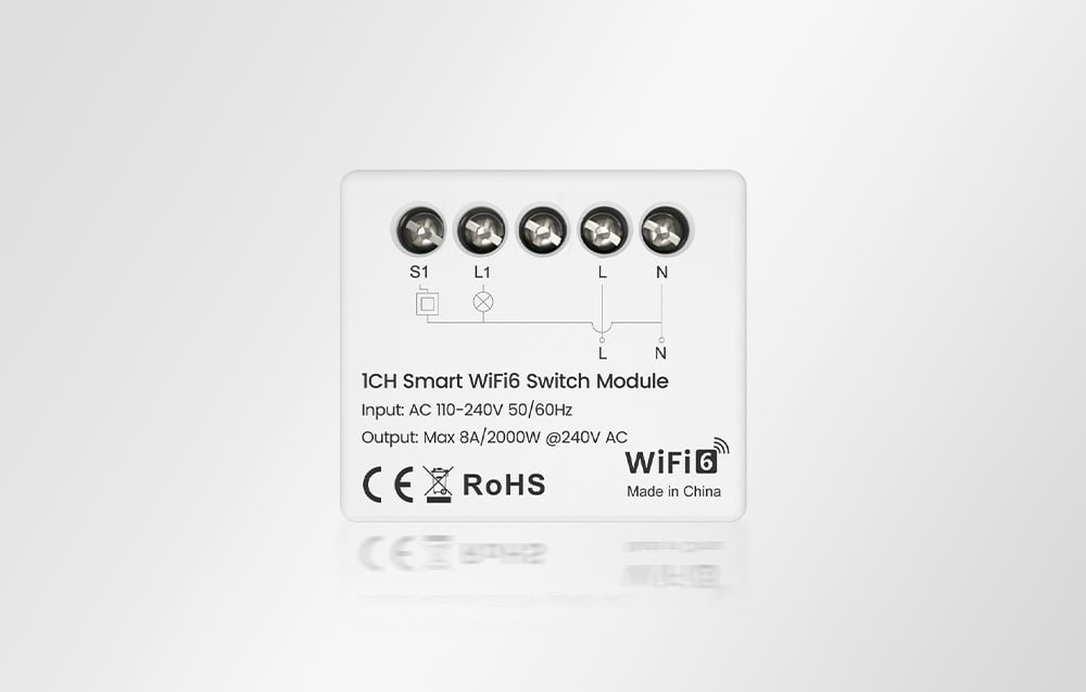 Front of the smart switch module with visible markings and connection diagram