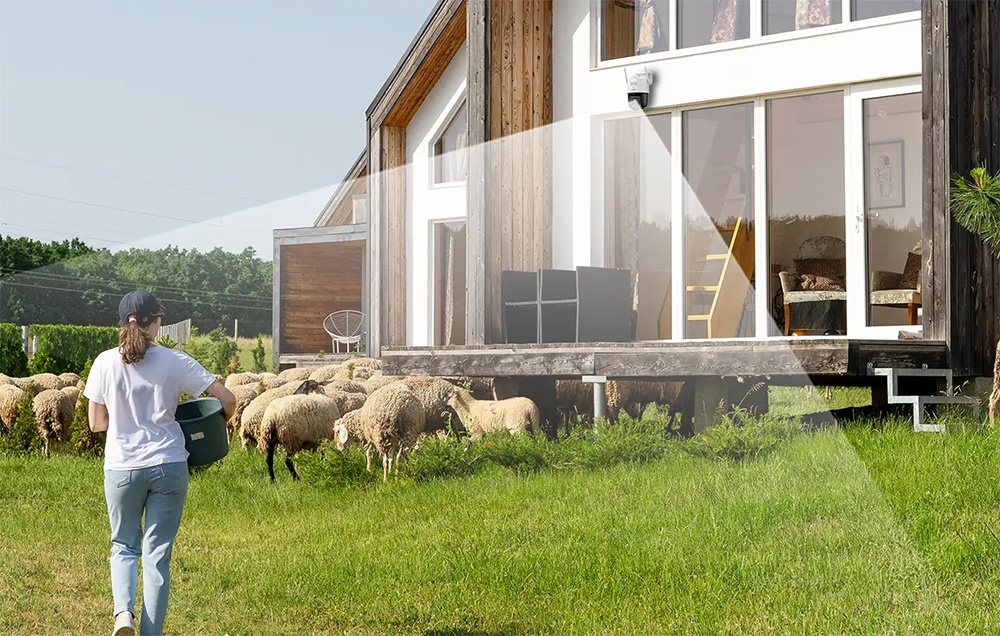 A woman with a bucket walking next to a flock of sheep; a wide beam of light covering the area shines from the camera on the wall of the house
