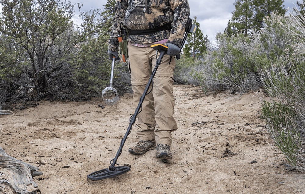 A person with a detector searches a sandy area among bushes.