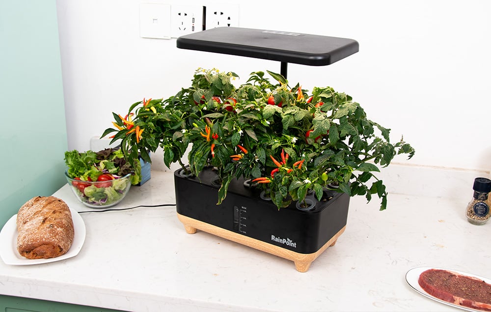 The RainPoint hydroponic system with mature pepper and tomato plants sits on a light-colored kitchen countertop