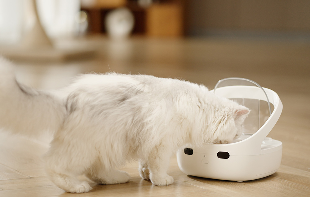 A white long-haired cat eating from a white automatic food dispenser
