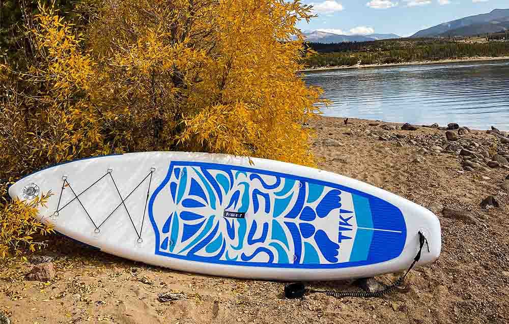 A white and blue swimming board lies on the shore of a lake, leaning against a tree