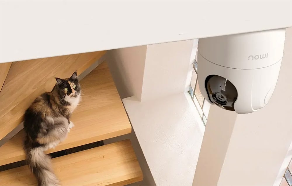 A white Imou camera on the ceiling, with a cat sitting on wooden stairs in the background