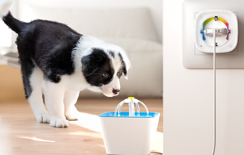 A puppy drinks water from an automatic drinker plugged into a smart outlet in the wall