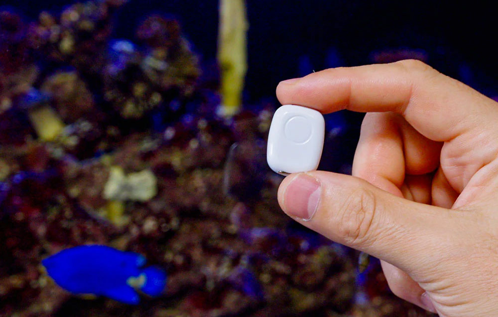 Universal sensor held in the hand against the background of an aquarium