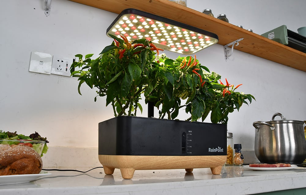 The hydroponic system’s backlit LED panel illuminates the growing pepper plants