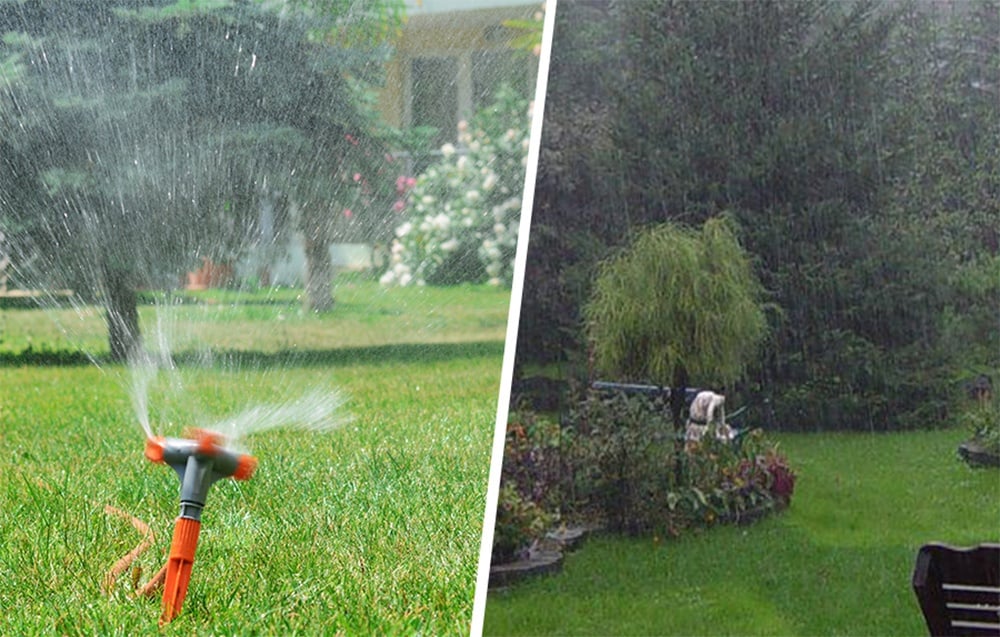 Two zones of the garden irrigated by RainPoint.