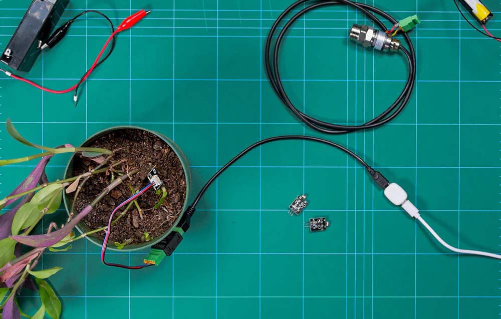 Shelly universal sensor connected to a cable with a probe placed in a pot with a plant