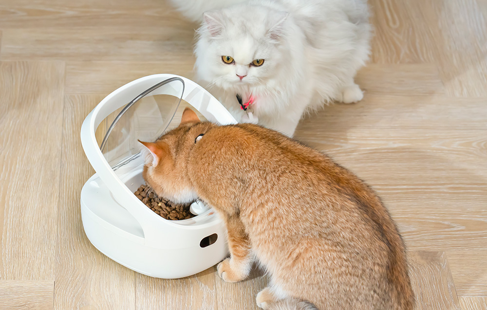 A red cat eating food from an automatic dispenser, next to a white cat