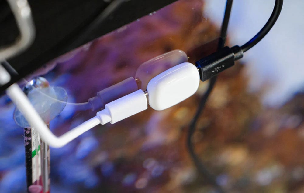 Shelly universal sensor connected to 2 cables