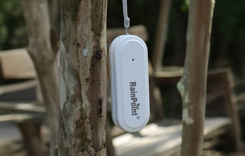 A white, oval RainPoint sensor hangs on a strap against a backdrop of tree trunks