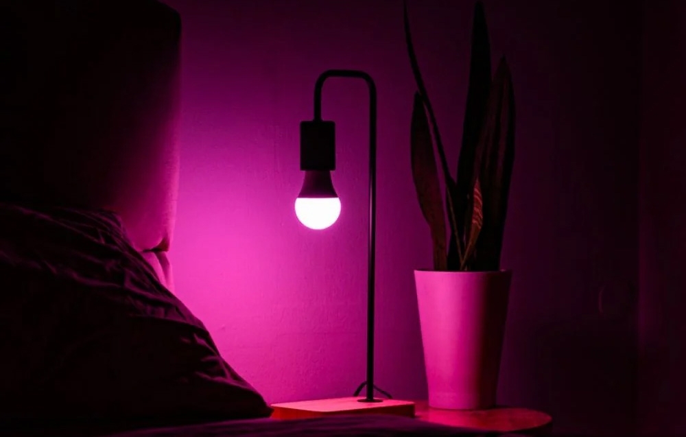 A lamp with a pink-glowing light bulb next to a potted plant in a dark room