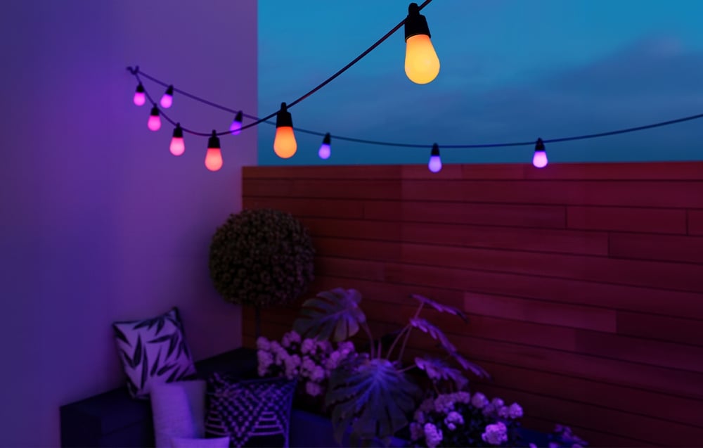 Glowing garden string lights in shades of purple and orange above plants by a wooden fence.