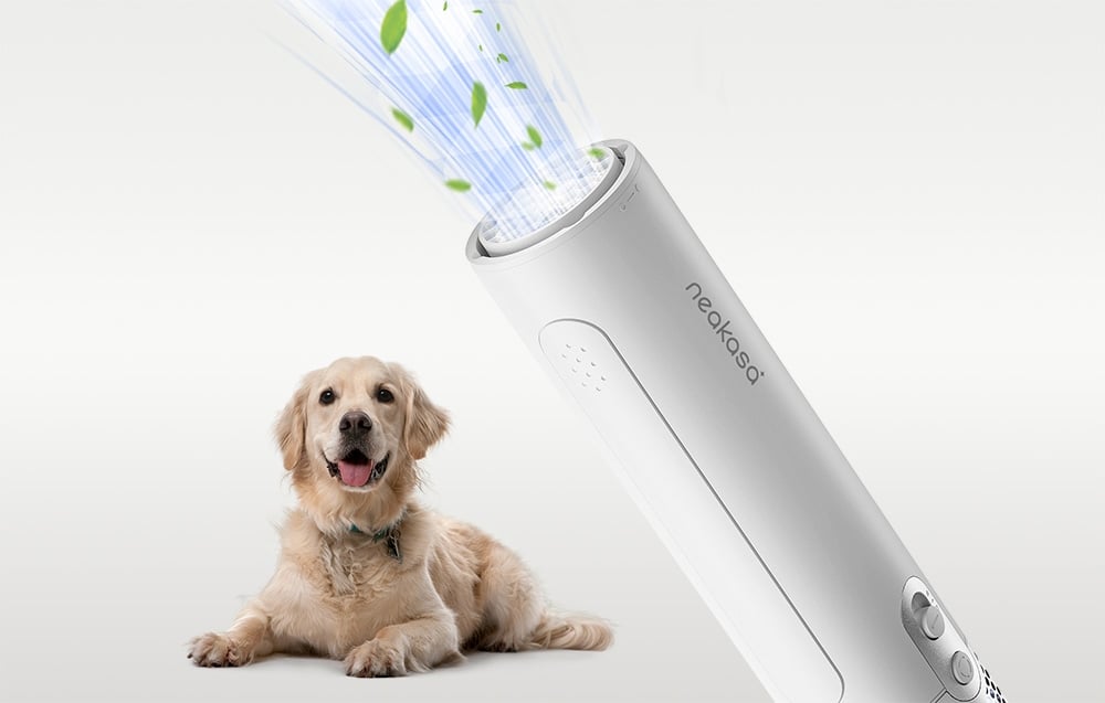 A white dryer by neakasa emits blue light with green particles, while a bright golden retriever lies in the background